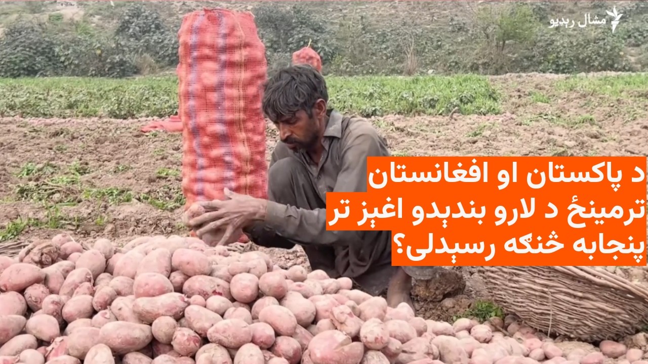 د پاکستان او افغانستان د سوداګرۍ درېدو د پنجاب کروندګر تاواني کړي دي