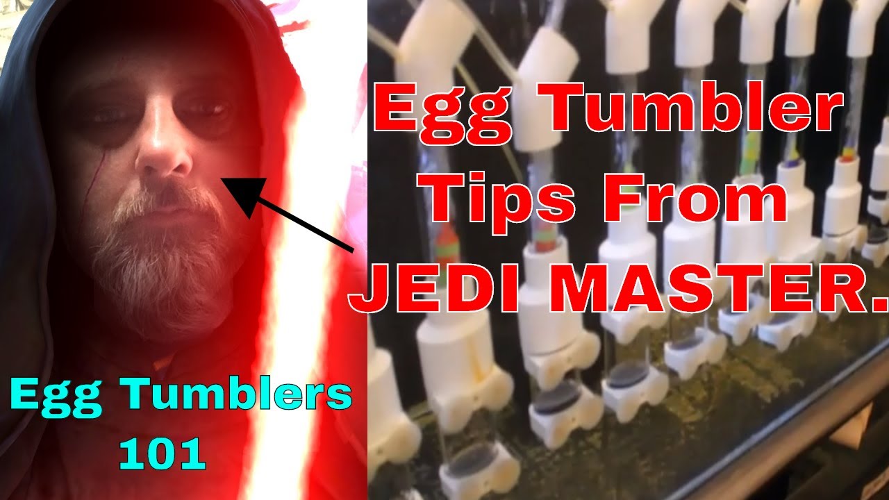 Egg Tumblers 101- How To SET UP - Where to BUY  - PART 1
