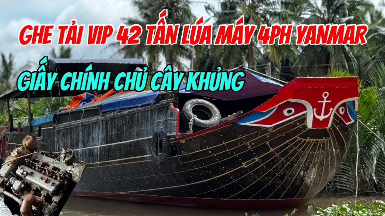 Bán Ghe Tải #vip 42Tấn Lúa Máy Yanmar 4PH Bét Kim Giấy Chính Chủ(Đã Bán)0923,5555,97 Tâm|Tâm Vlog