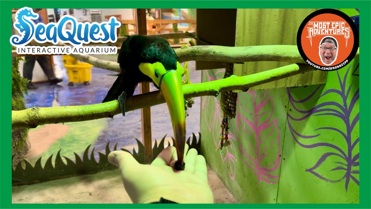 🦜 SEAQUEST INTERACTIVE AQUARIUM LAS VEGAS