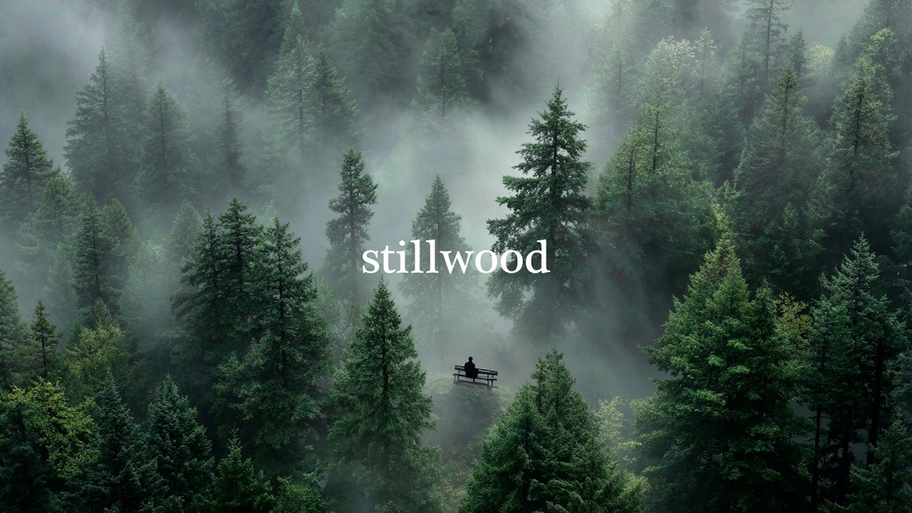 Stillwood | Forest Jazz (Deep Solitude)