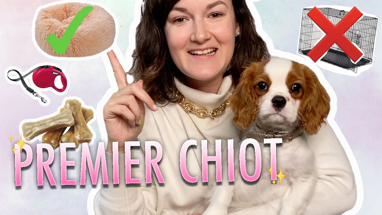 PRÉPARER L'ARRIVÉE DE SON PREMIER CHIOT : HAUL ACHATS ESSENTIELS