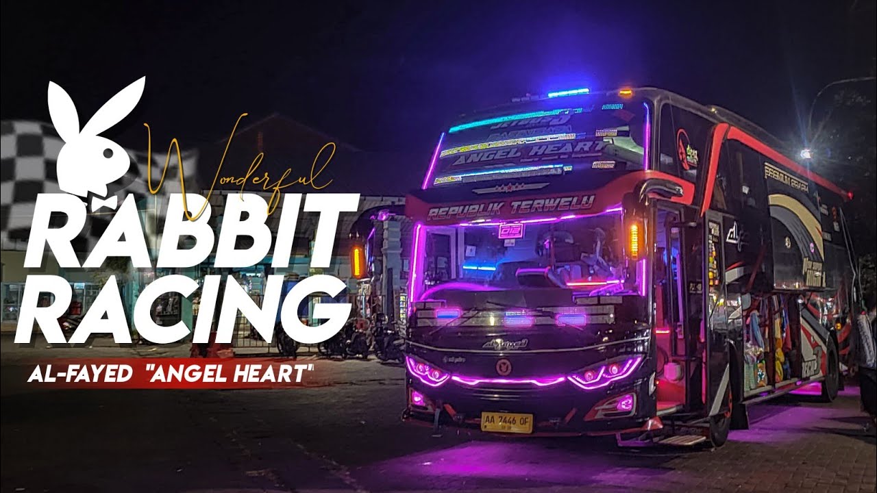 [ Samm Yaenal Style ‼️ ] PESONA RABBIT RACING - AL FAYED 