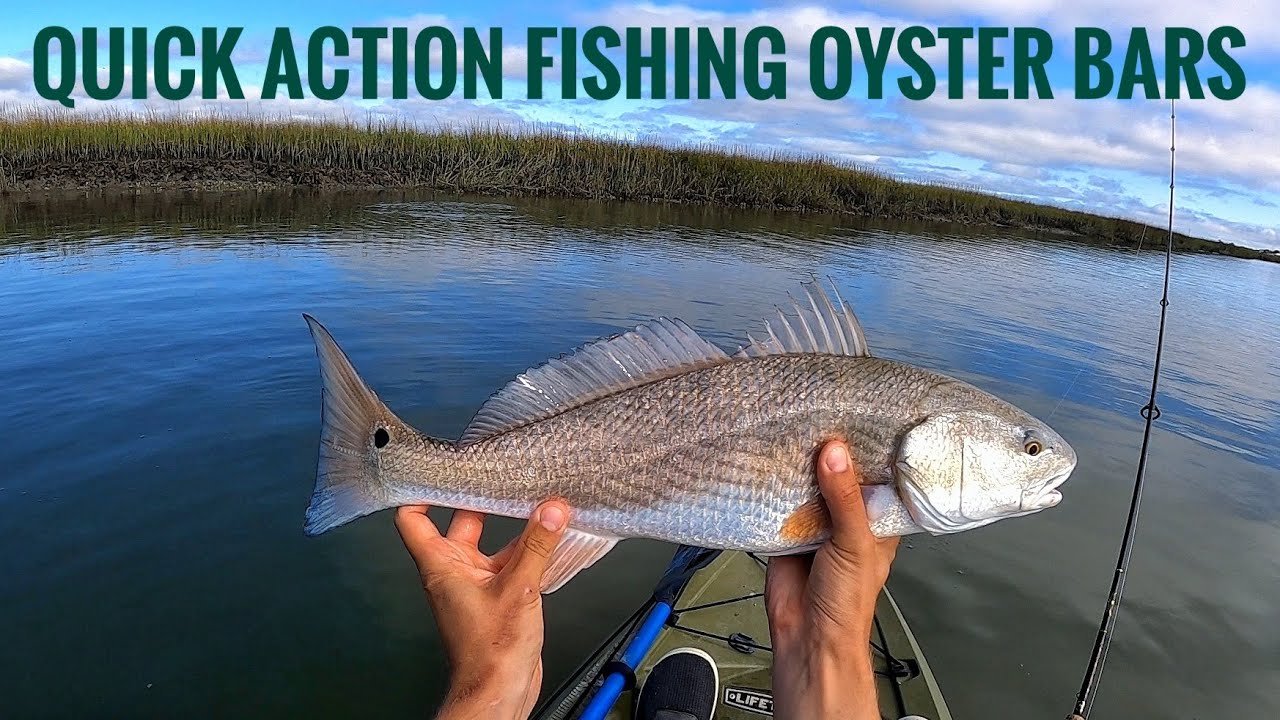 Fishing Baits Around Oyster Bars For Quick Action