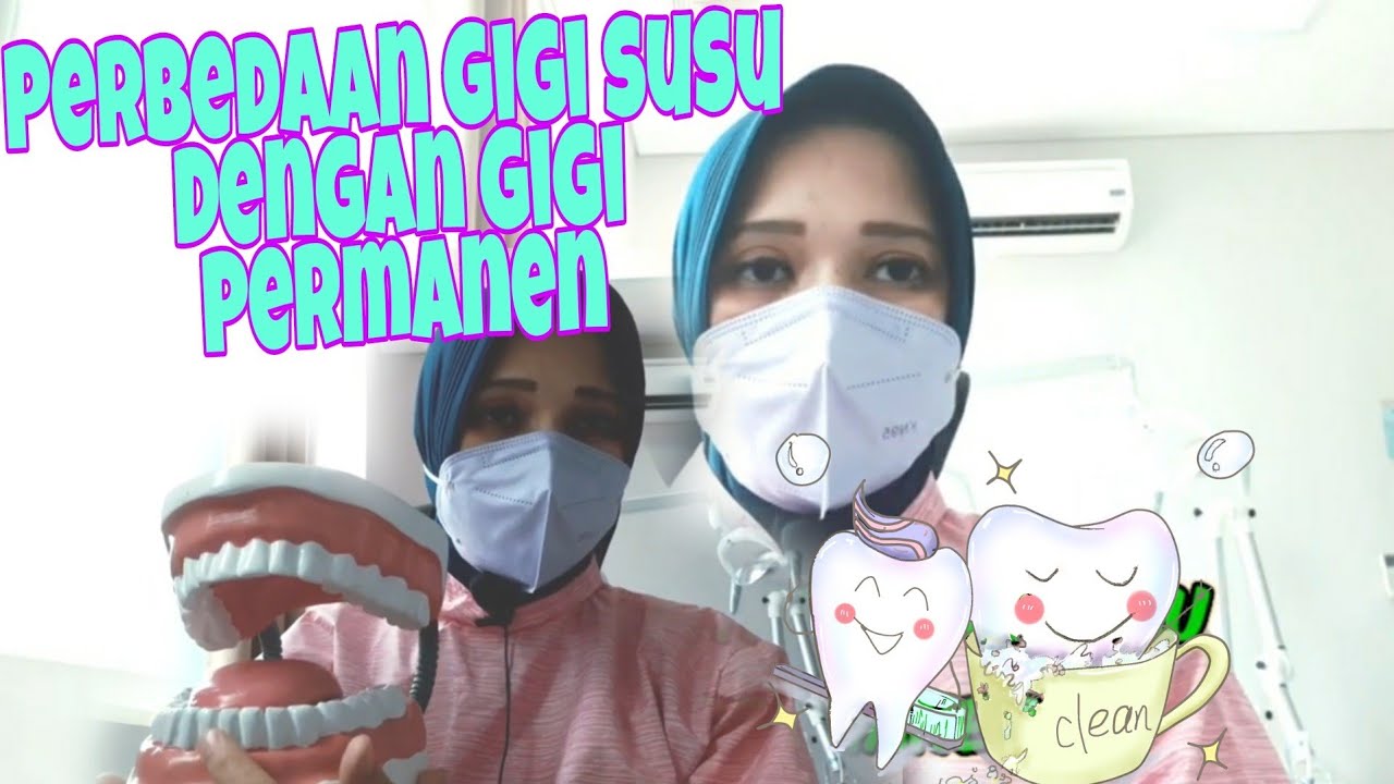 Perbedaan Gigi susu dengan Gigi Permanen #Gigisusuanak #GigiPermanen #doktergigi