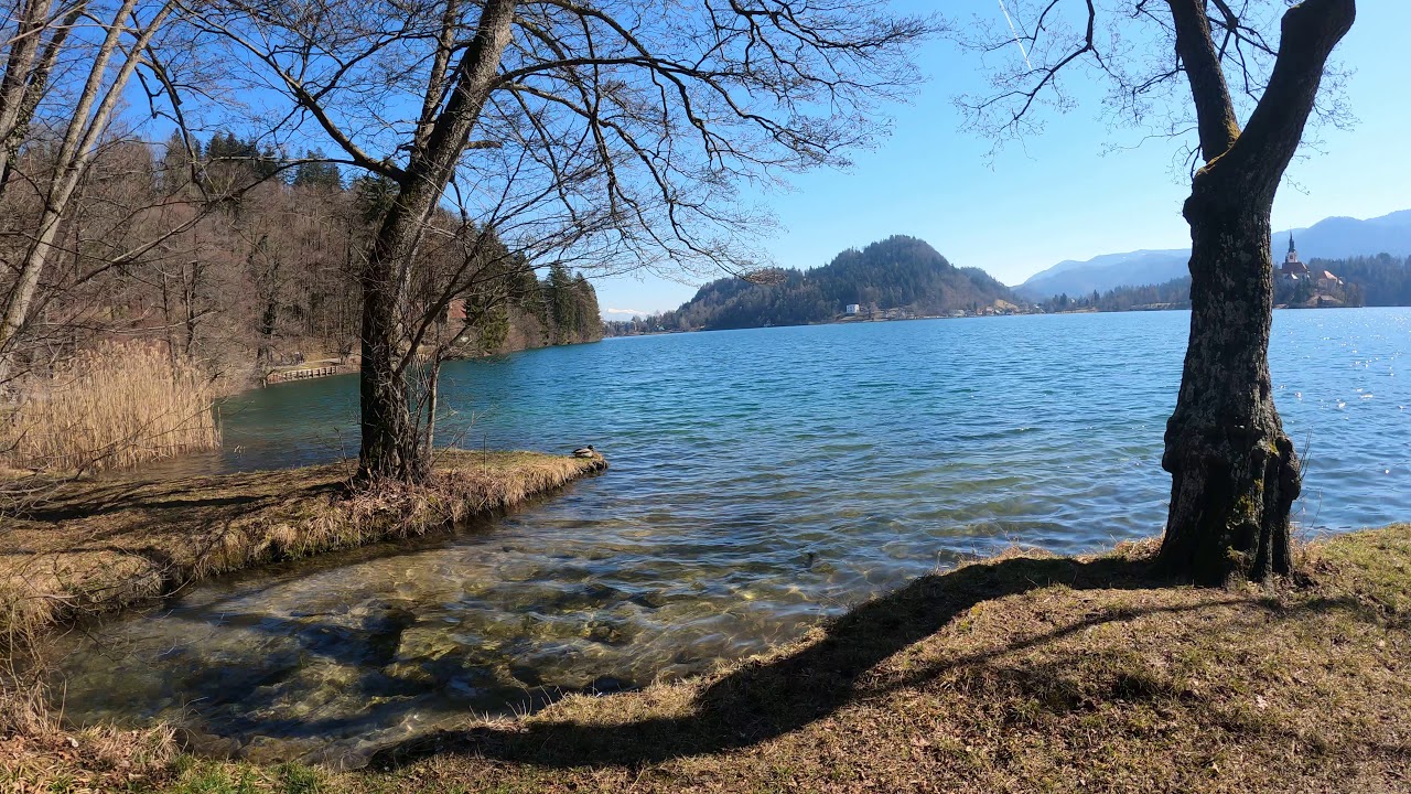 Lake Bled 5K 2880p video 🎥 #lakebled #nature