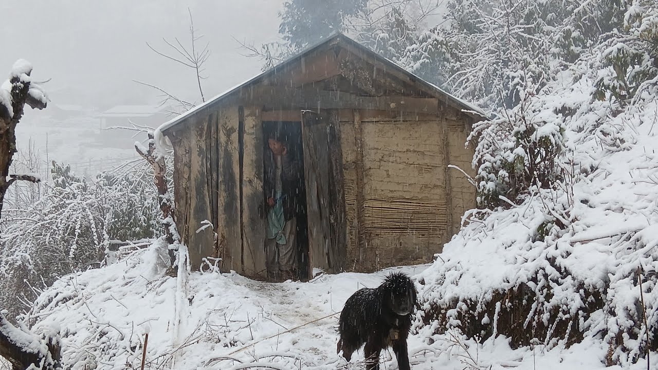 Surviving Life in on of the Coldest Regions Of Nepal | A Snowy Freezing Winter Village Life |