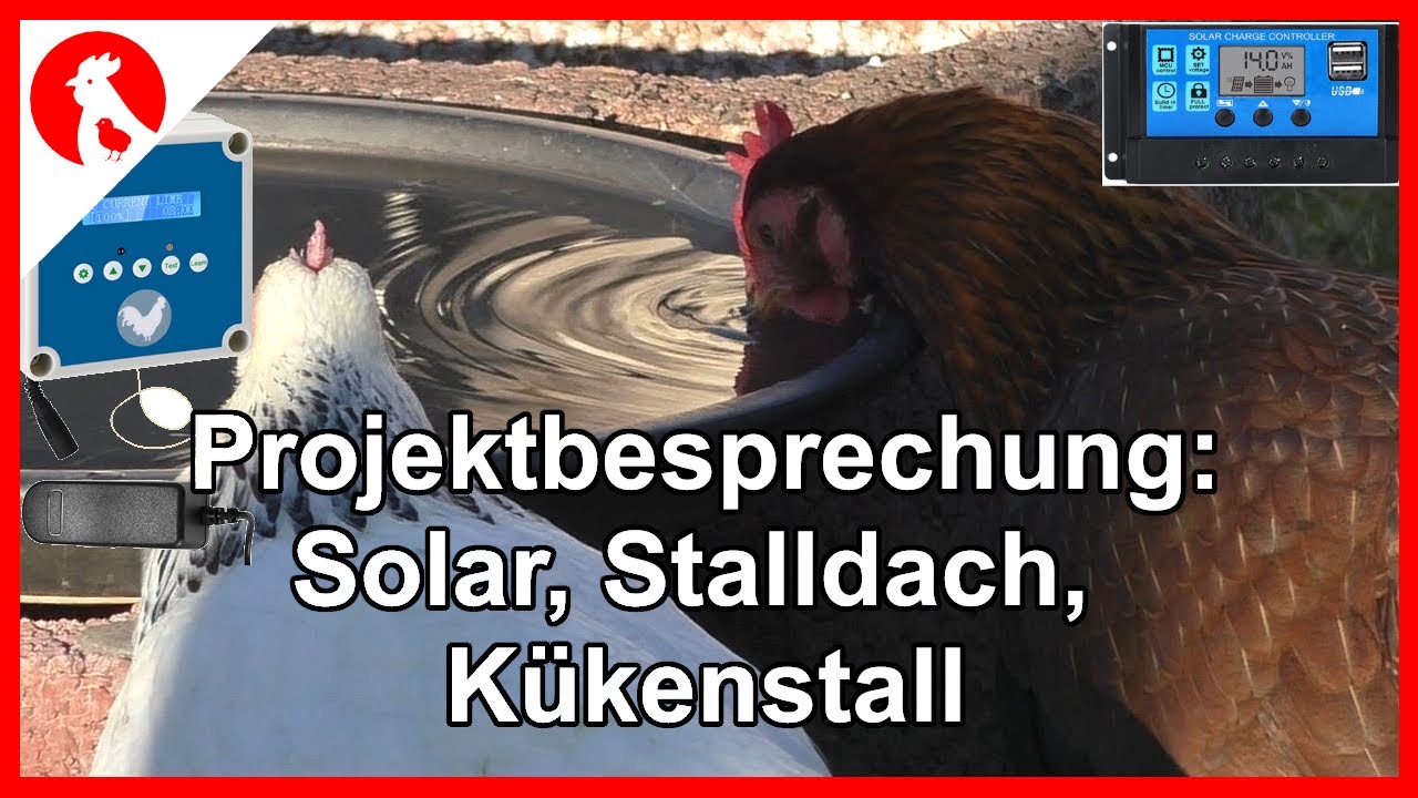 097 Projektbesprechung: So geht&acute;s weiter!   Jensman and the Huhns