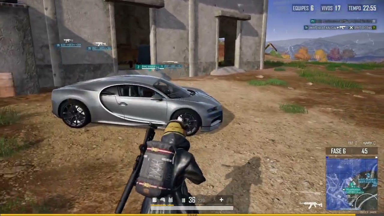 Pubg Win