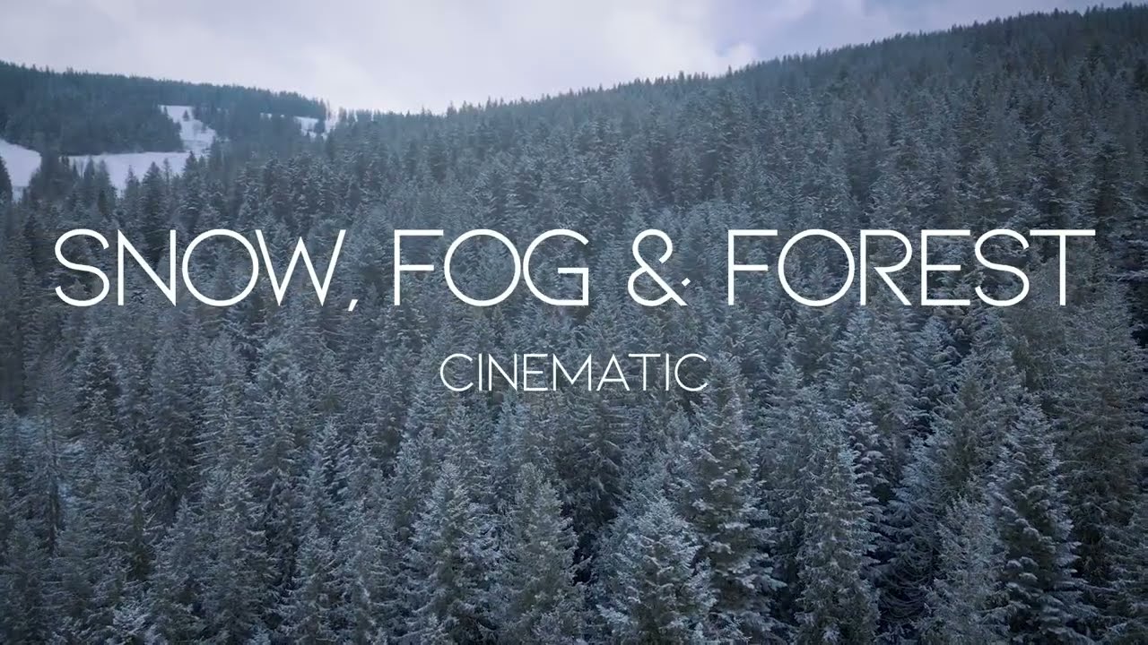 Snow, Fog & Forest - Cinematic Video Mavic Air 2