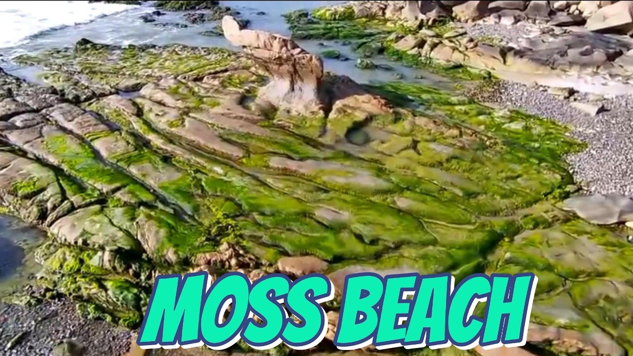 Moss Beach