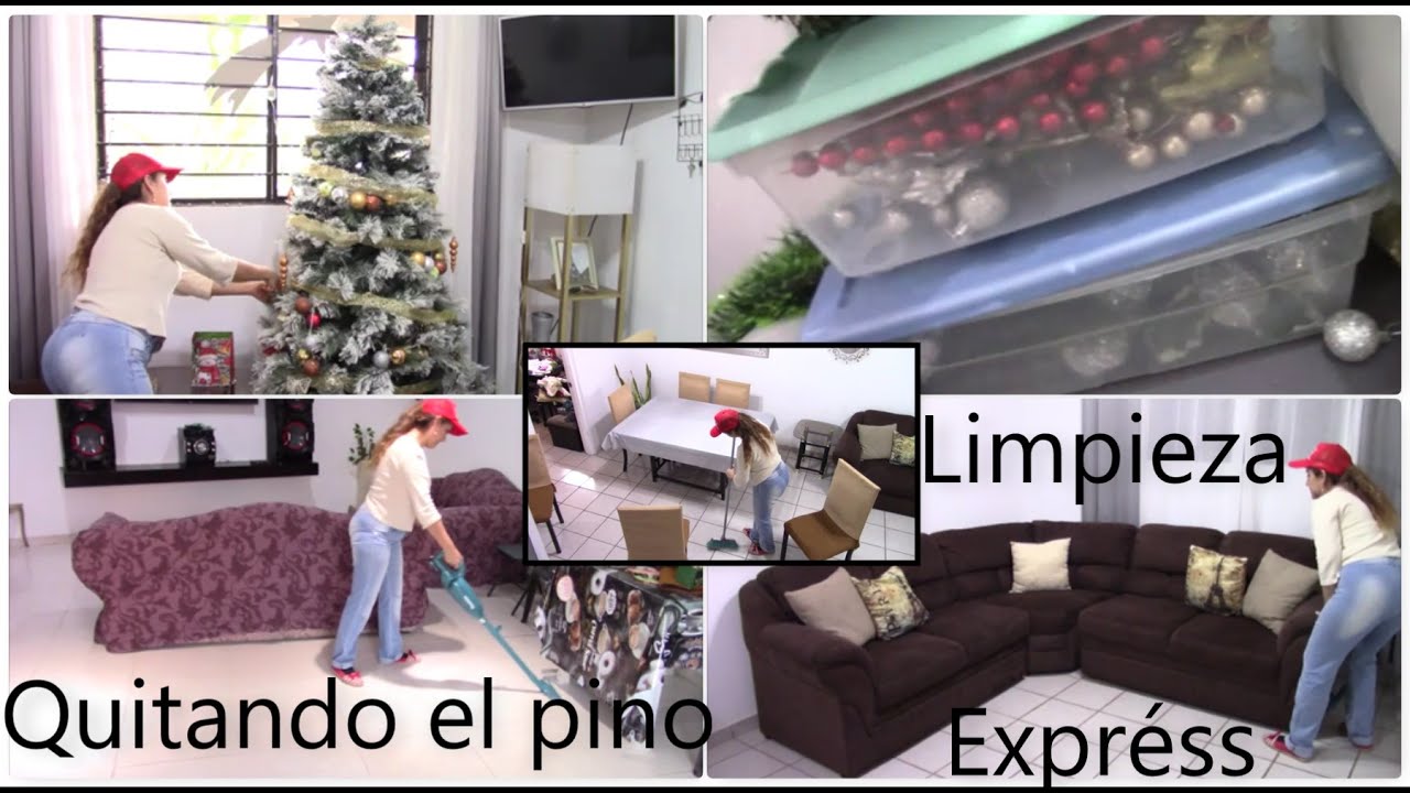 Guardando Decoración Navideña+ Limpieza