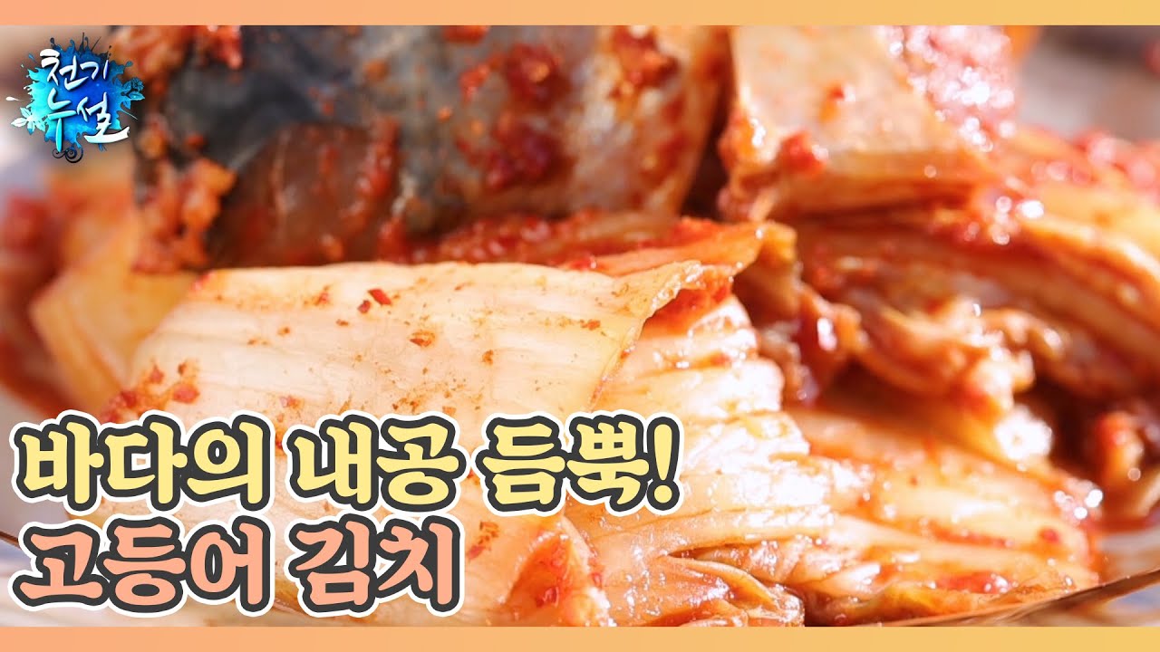 바다의 내공 듬뿍! 고등어 김치 MBN 260123 방송