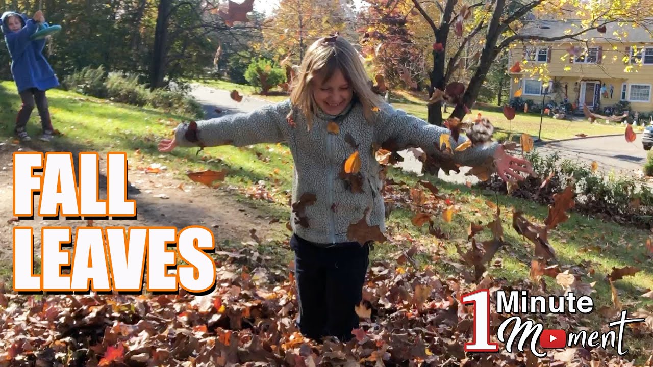 1-Minute Moment - FALL Leaves in New England - Raking Leaf Piles to Jump in!!!