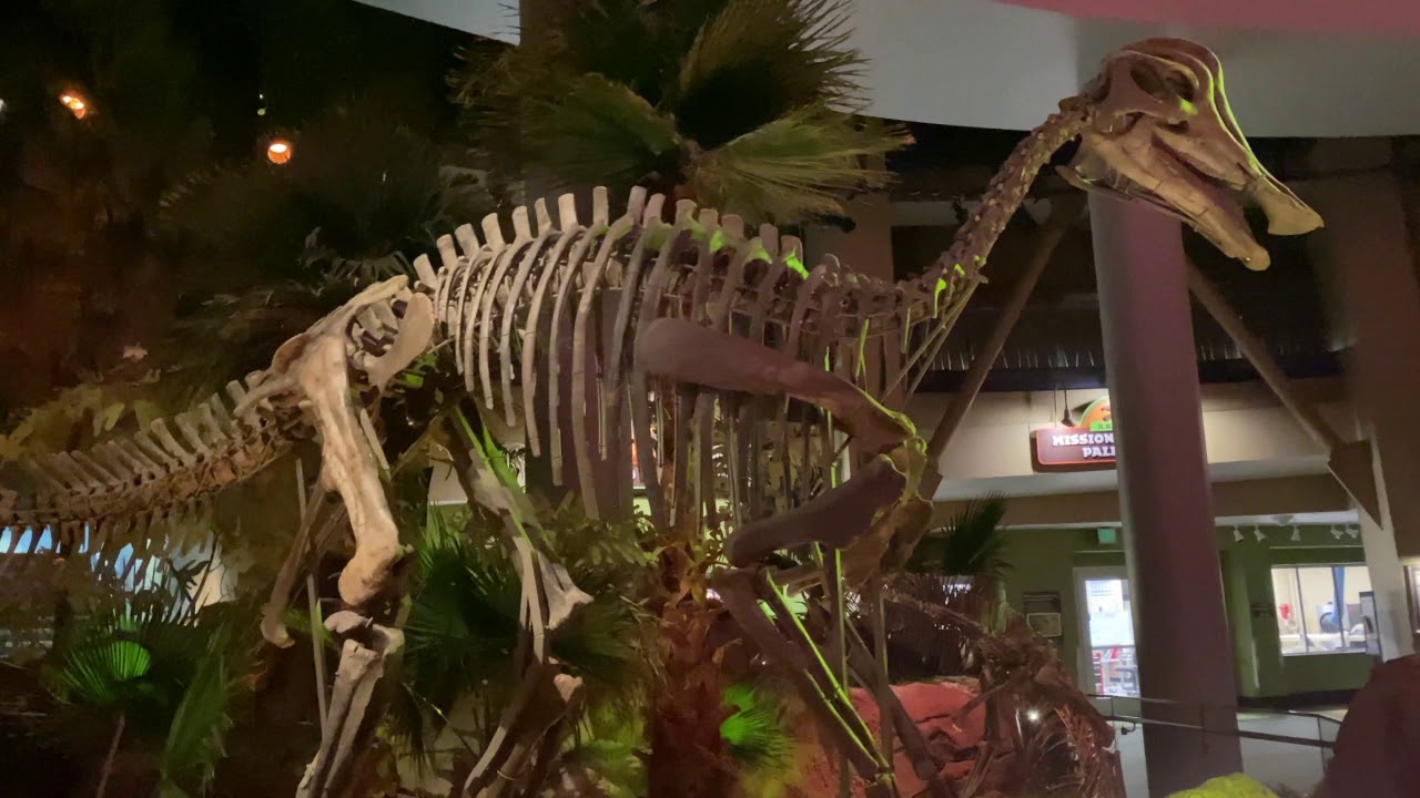Museum in Minutes: Dinosphere | Museum at Home