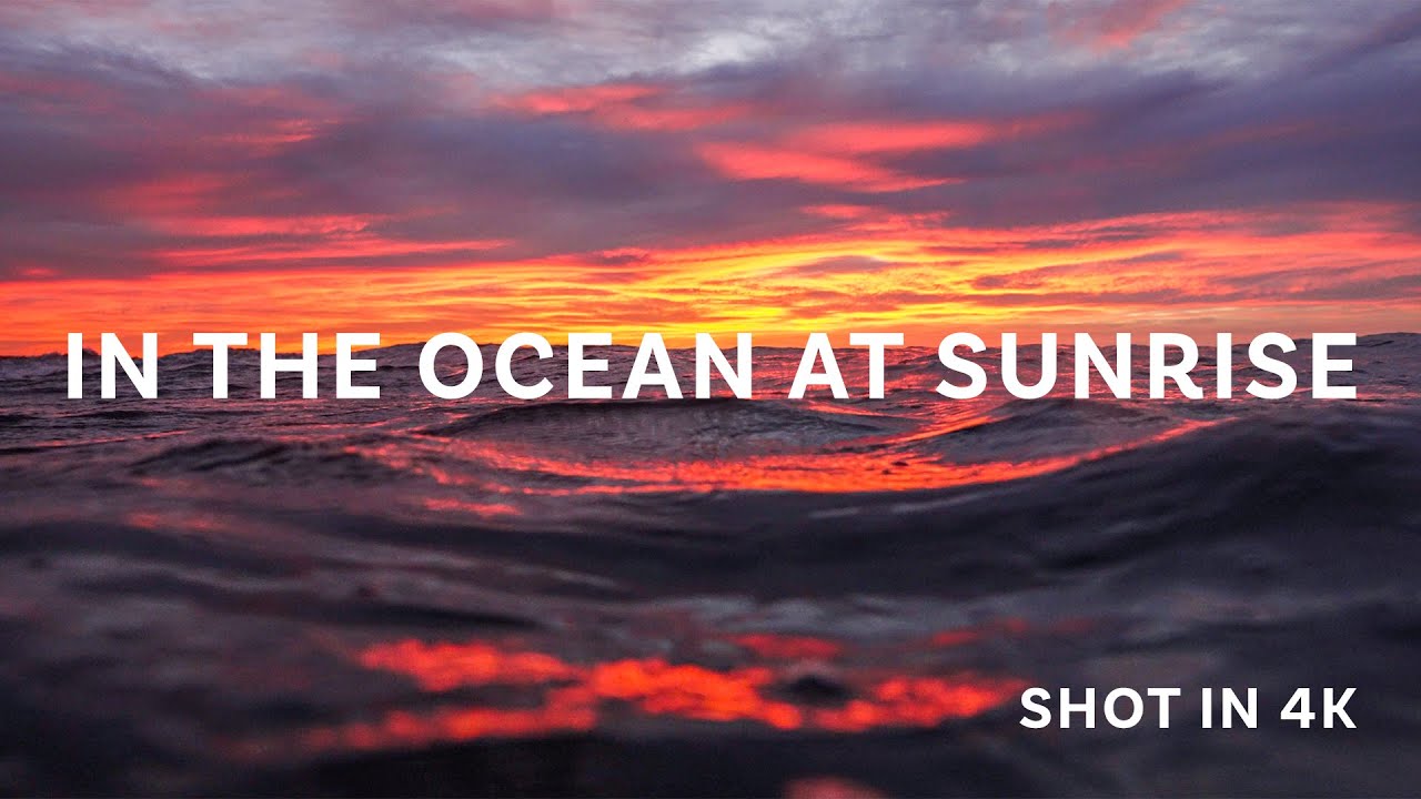 IN THE OCEAN AT SUNRISE (relaxation video shot in 4k)