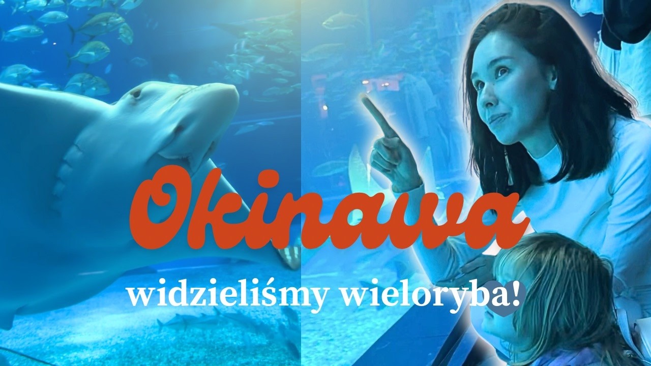 RODZINNY DZIEŃ NA OKINAWIE - OCEANARIUM I ZOO 