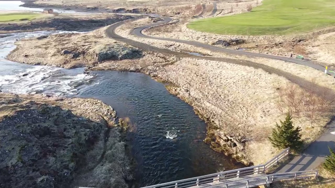 #343 - Úlfarsá (23.04.2022)