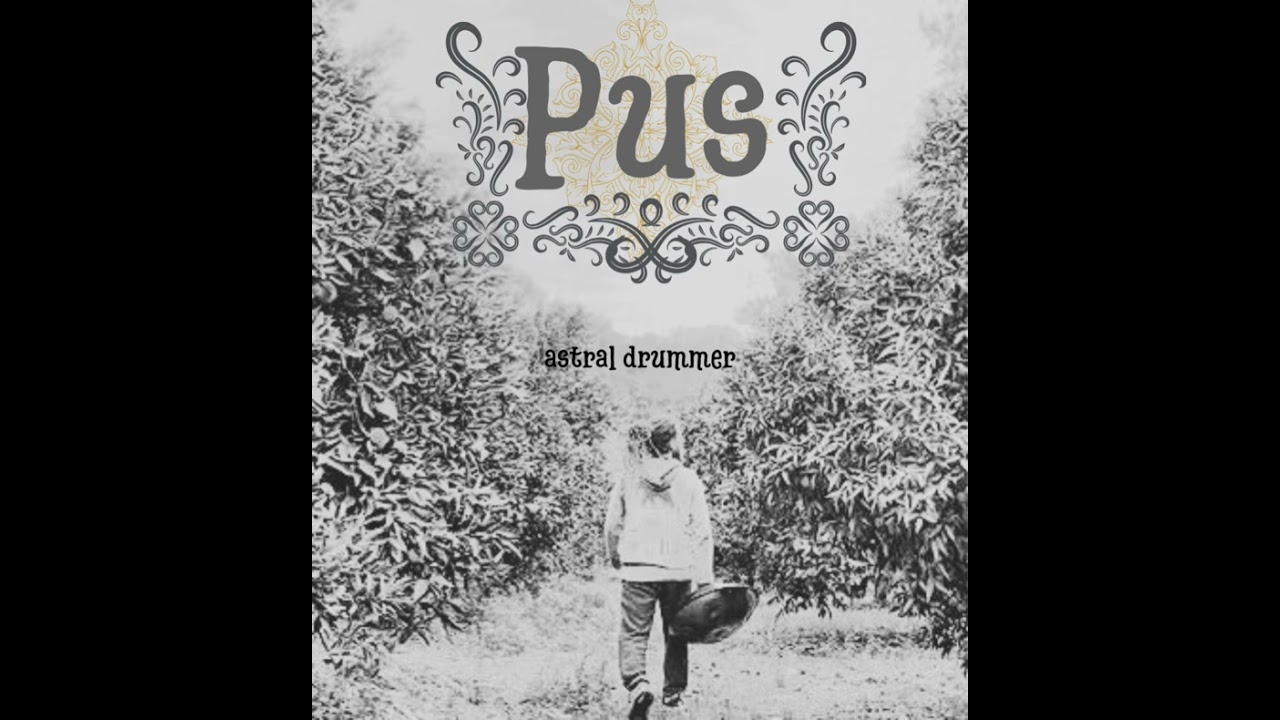 (Pus) psybient tempo handpan snythesizer music