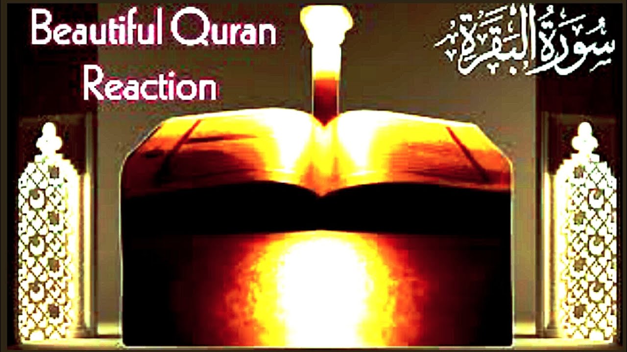 Surah Baqarah (Fast Recitation) Quick Reading By Sheikh Mishary Afasy With Arabic  سورة البقره Ep112