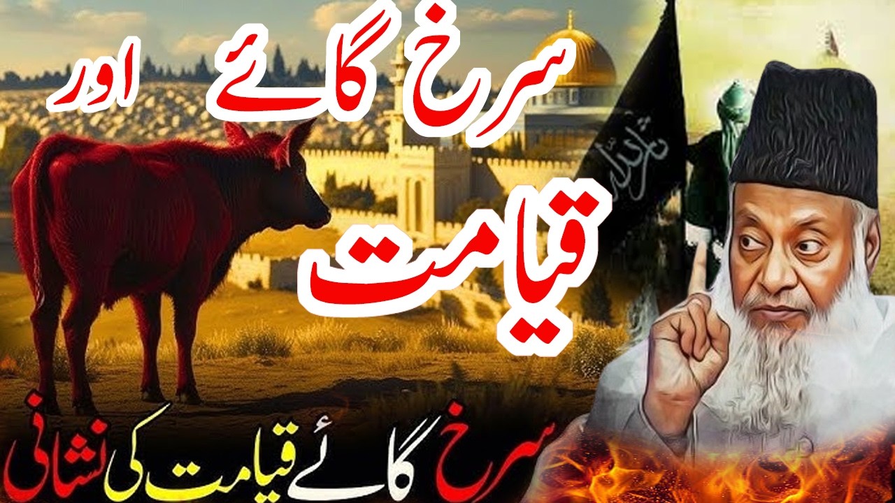 Surkh Gaaye Aur Dajjal Ka Raaz, End of World, Red Cow end of world Dr  Israr Ahmed