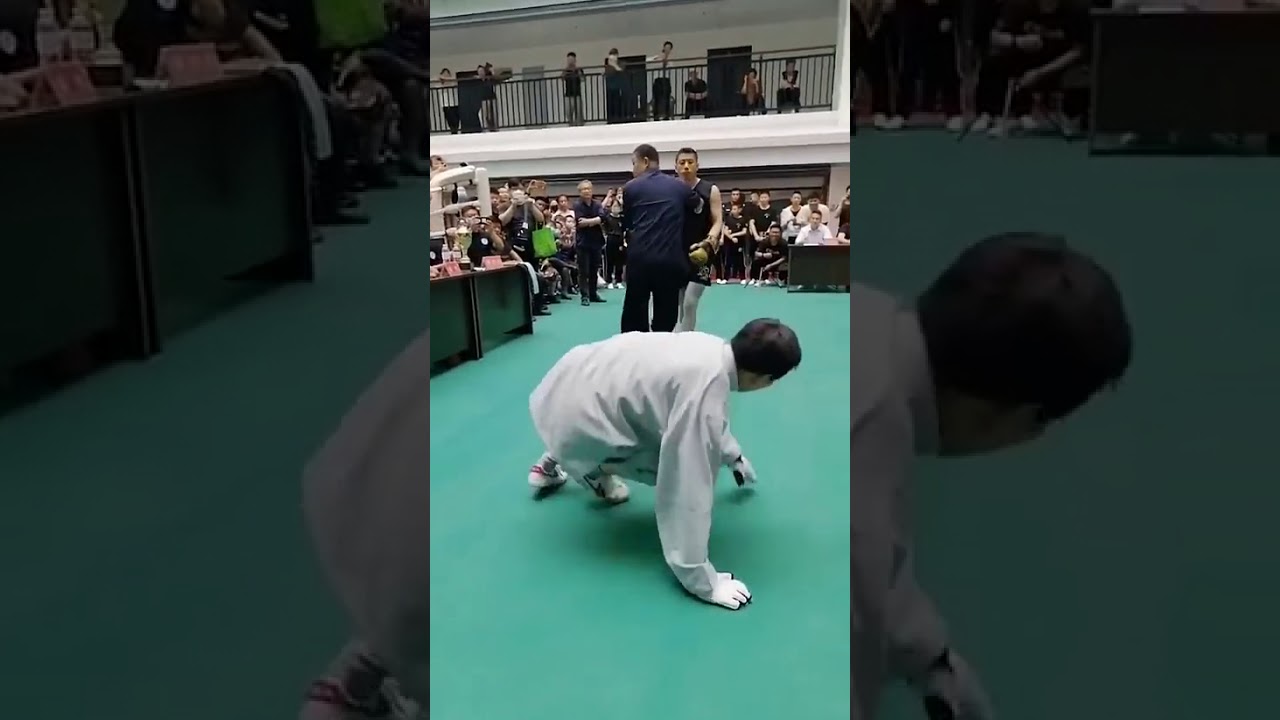太极大师马保国再次被KO全过程