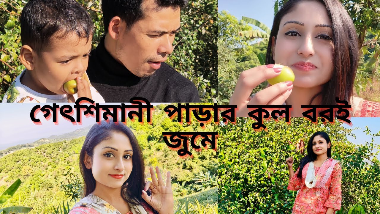 গেৎশিমানী পাড়ার জুমে প্রথম দিন মিষ্টি বরইয়ের সাথে। Bandarban Day 1, Part 1