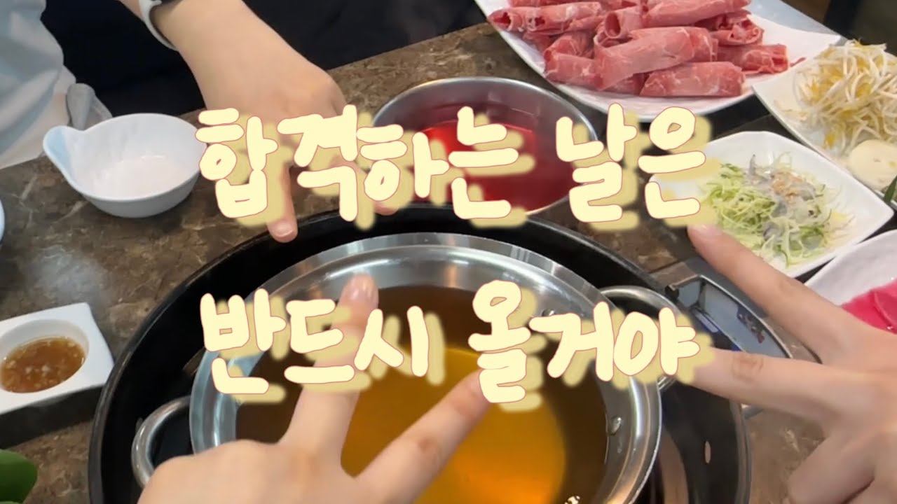 [Vlog] 최종 떨어지고 나서 일상 그리고 나 또 임고생...