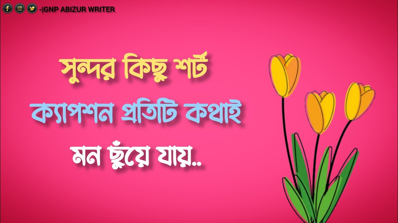সুন্দর কিছু বাংলা‌ শর্ট ক্যাপশন 🌸☺️ প্রতিটি কথাই মন ছুঁয়ে যায় 🌹☺️ #caption #gnpabizurwriter