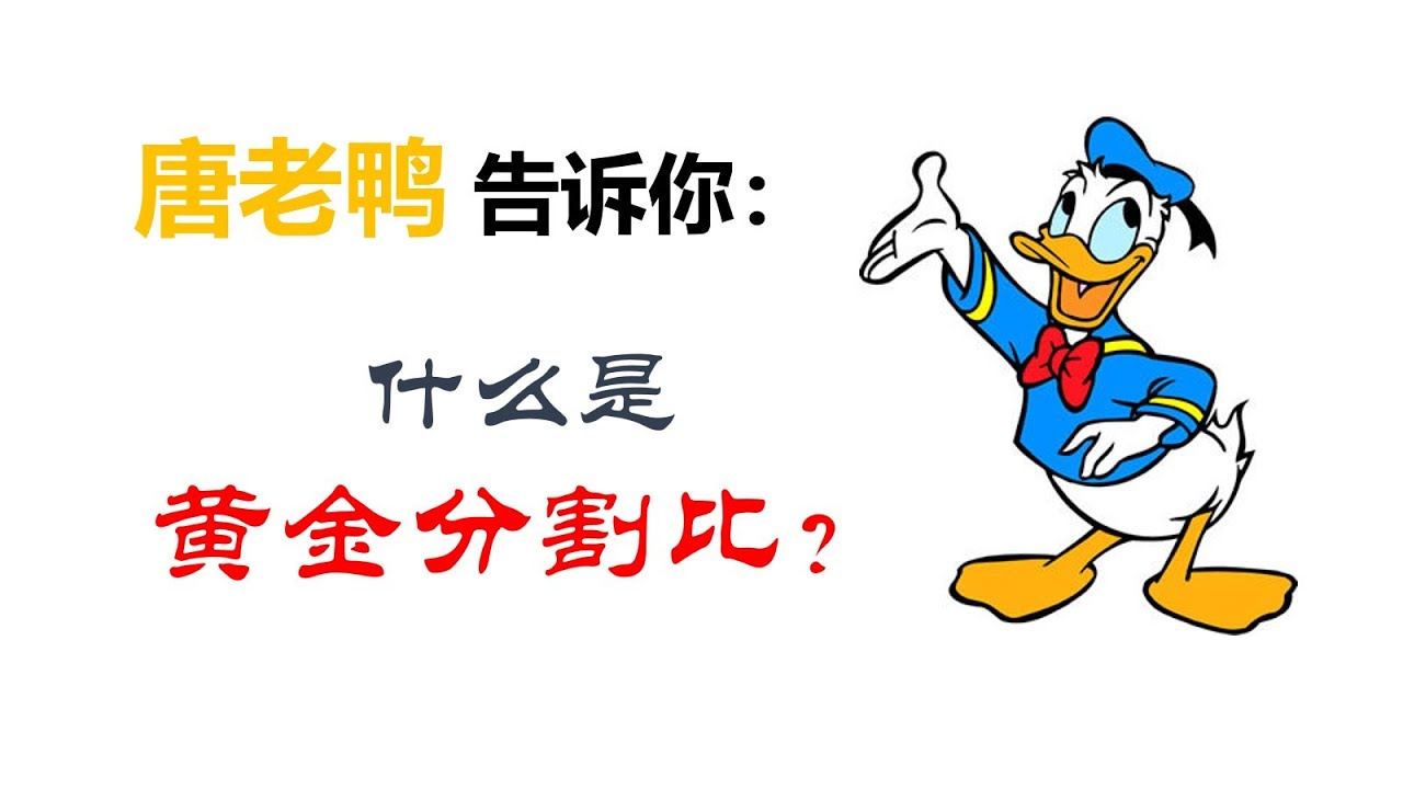 618黄金分割日：唐老鸭来告诉你黄金分割比的奥秘！
