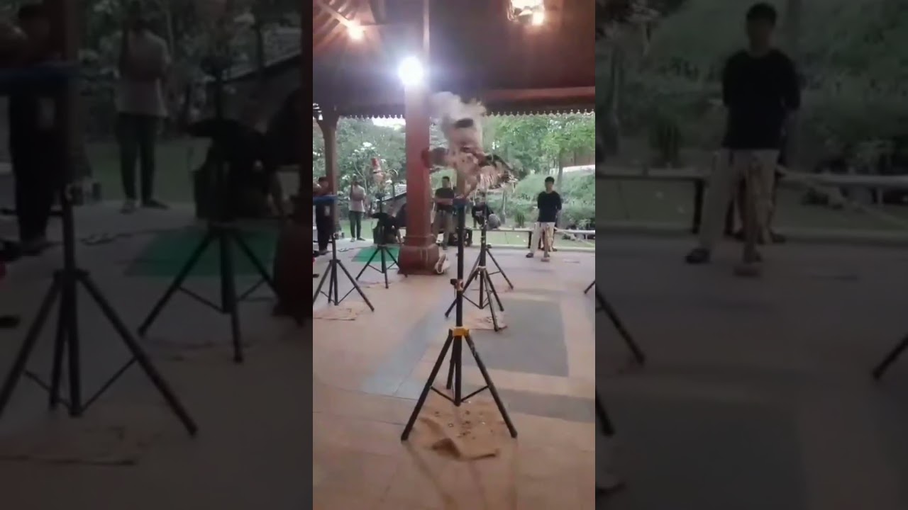 Persaingan ketat di sesi Grand Champion di kontes ayam ketawa Purwokerto 2026
