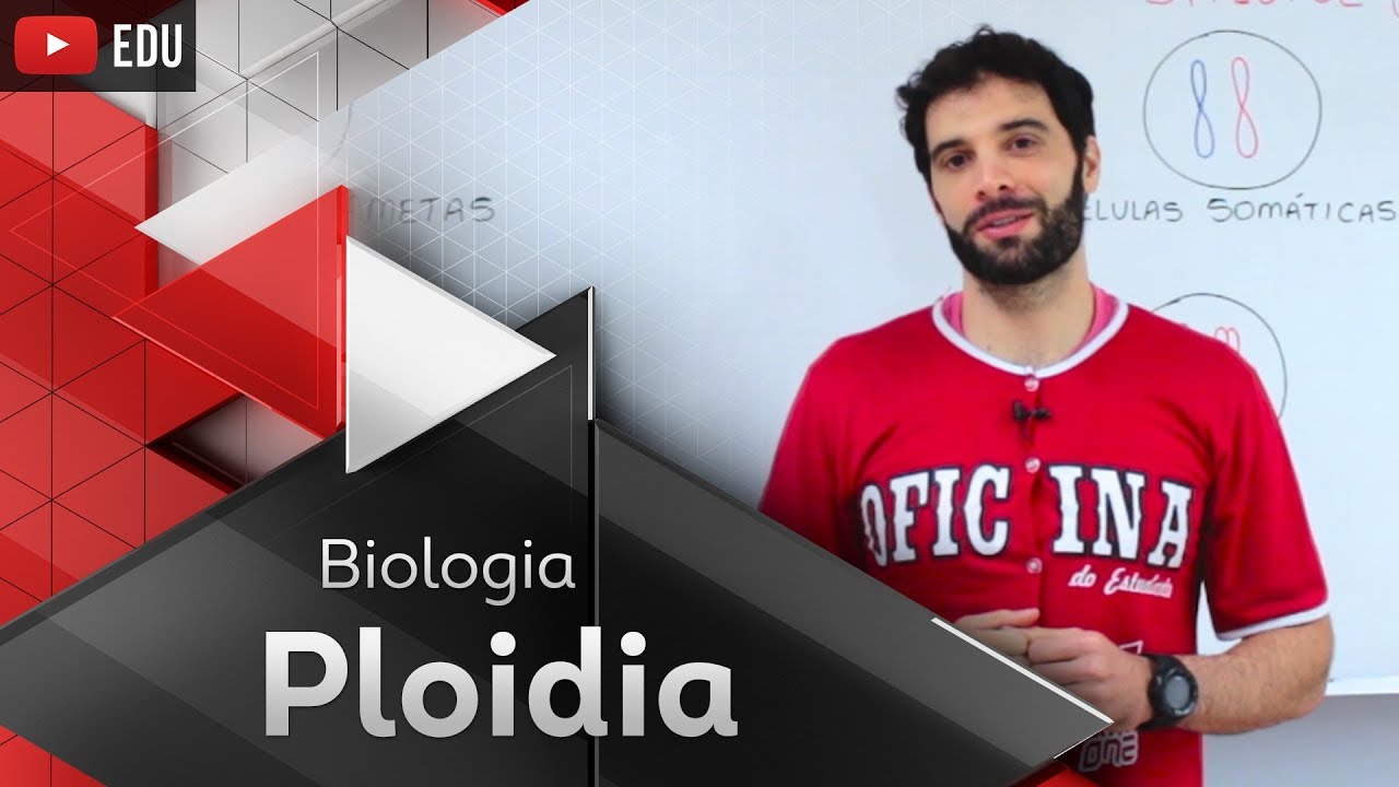 Ploidia