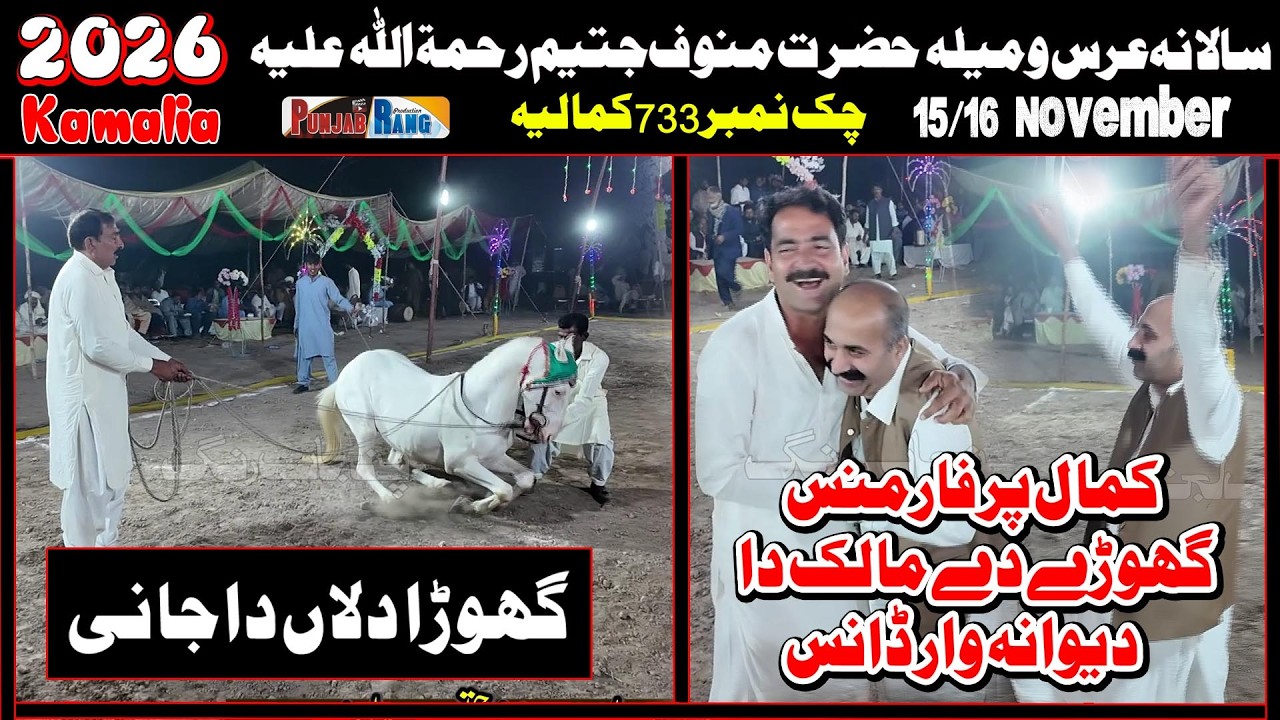 Dillan Da Jani دلا ں دا جا نی Performance with Riaz Ahmad Gorsi Dance l Horse Dance l Manoof Jateem