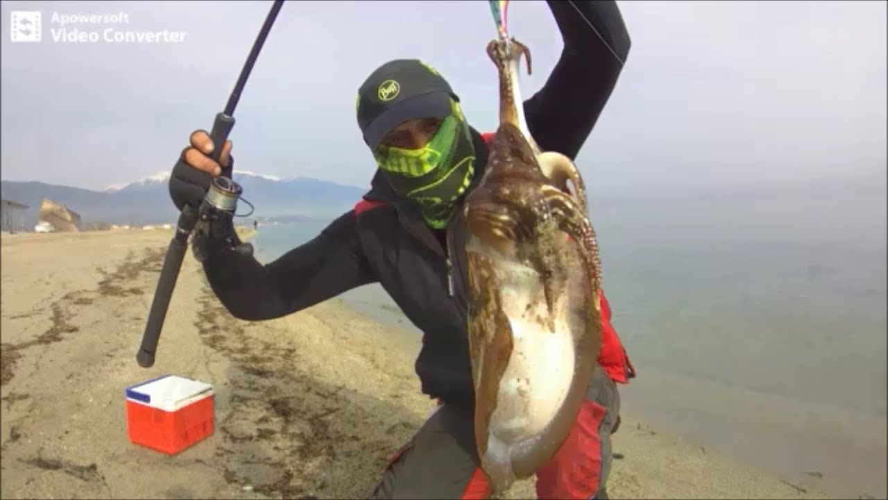 όταν οι σουπιες είναι στα ρηχά ... - (cuttlefish)  the technique of shore eging