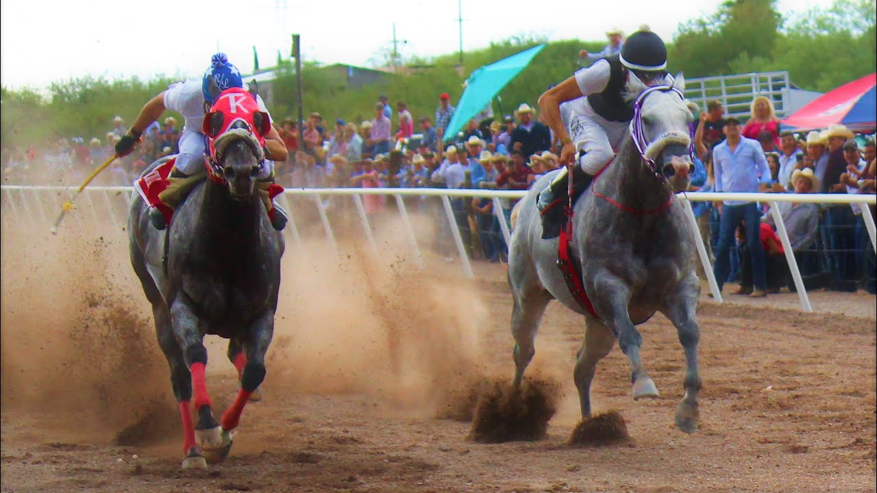 Carreras de Caballos en Cumpas 4 de Julio 2021