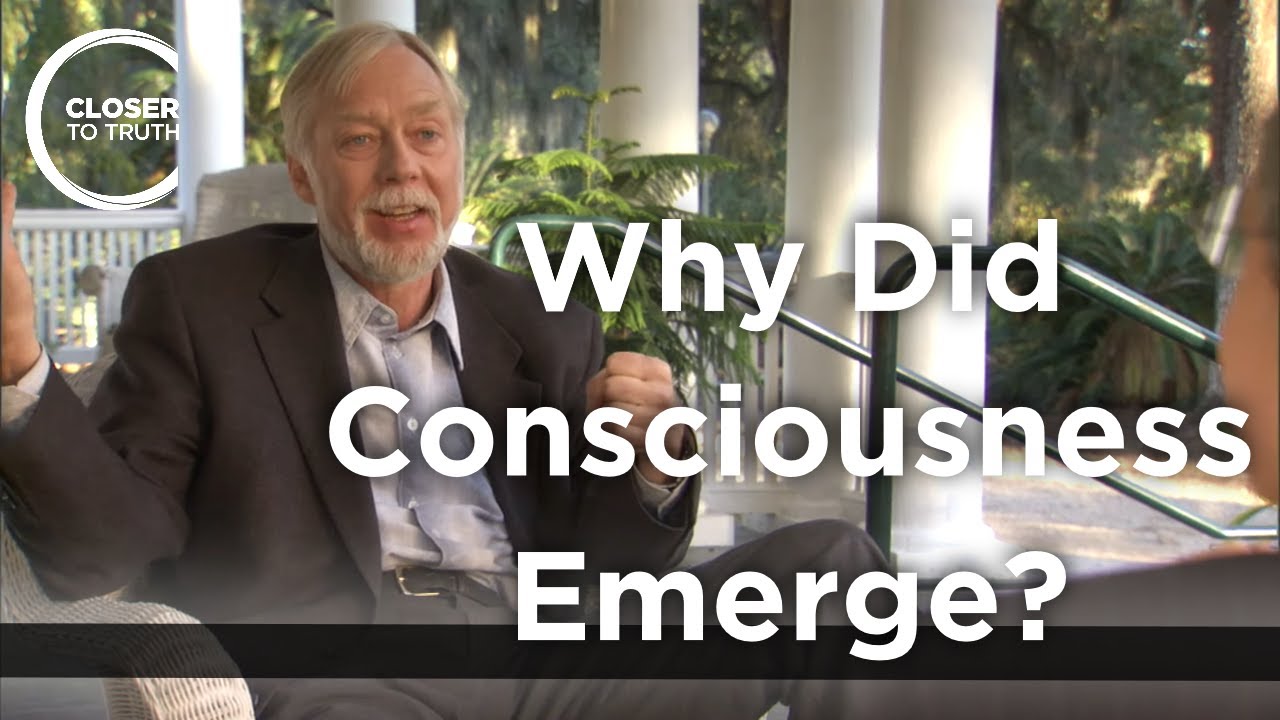 Roy Baumeister - Why Did Consciousness Emerge?