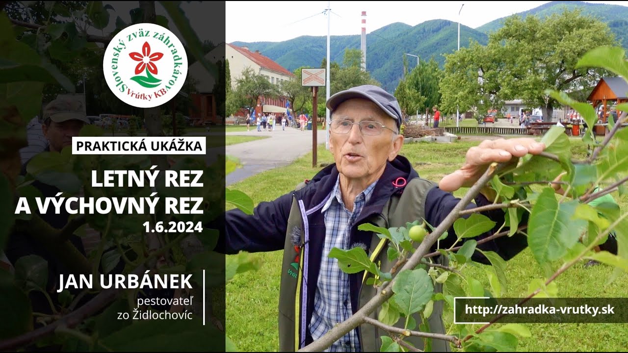 Letní a výchovný řez - Slovensko 2024