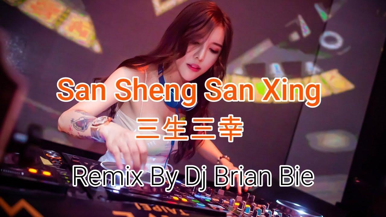 San Sheng San Xing - 三生三幸 (Electro Manyao) By Dj Brian Bie #dj #manyaoremix #manyaodj #manyao