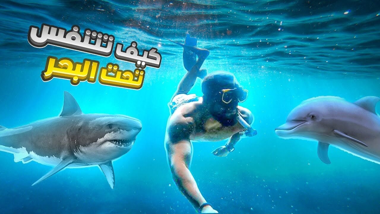 ❗️🐋كيف اتنفس تحت البحر؟!🌊 (بدون اوكسجين!) | شفت مخلوقات بتنقرض