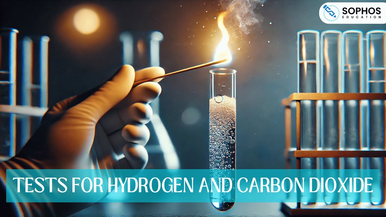 Tests for Hydrogen and Carbon Dioxide