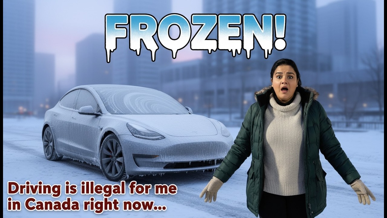 Surviving the Canadian Winters