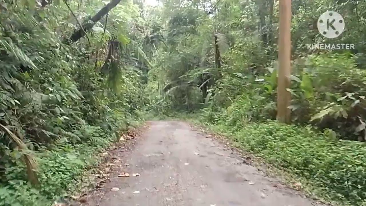 Não tombando o caminhão tá bom 🏁👊 ANJINHO FRETE 