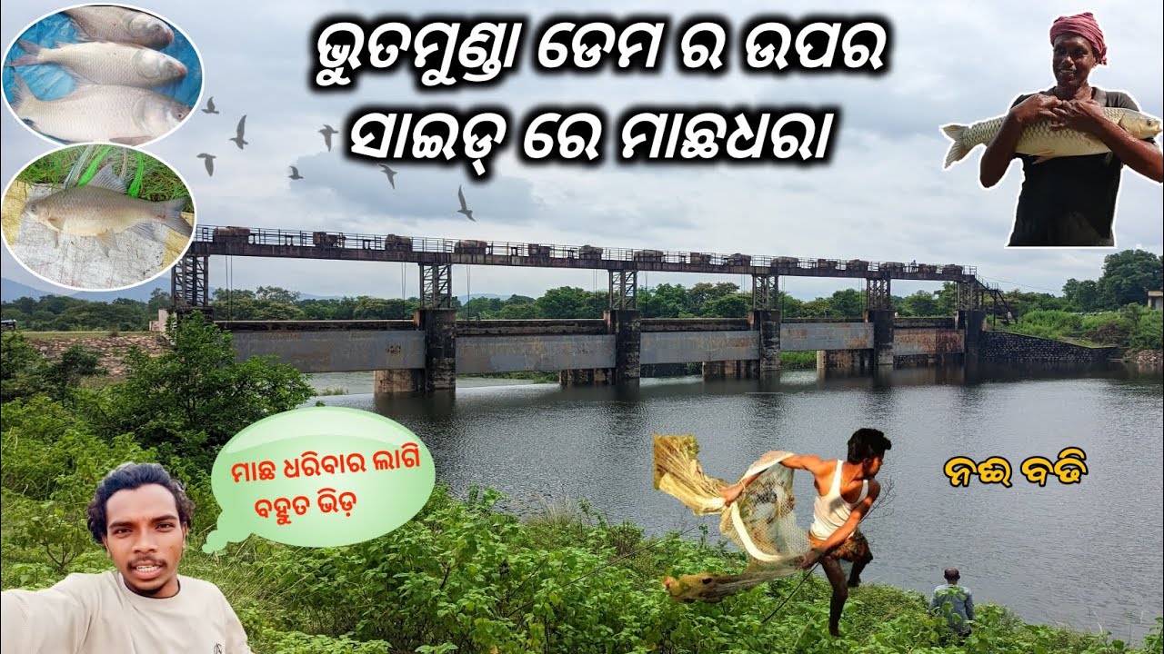 1st time ଦେଖଲି ମାଛ ଧରବାର ଲାଗି ଏତେ ଭିଡ଼ // ଭୁତମୁଣ୍ଡା ଡେମ ରେ // Sambalpuri vlog video