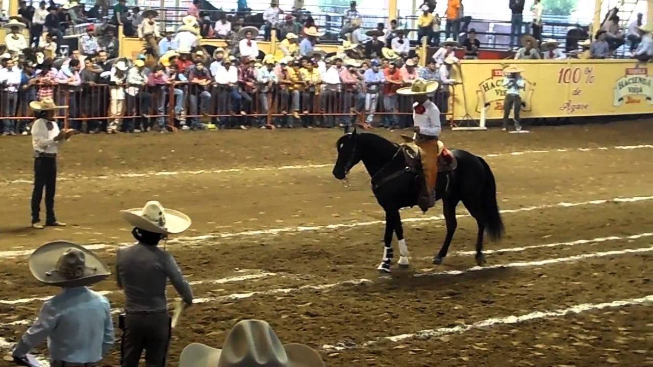 El Cora Caballo de Puente de Camotl&aacute;n Eliminatoria Caladero Abierto Millonario
