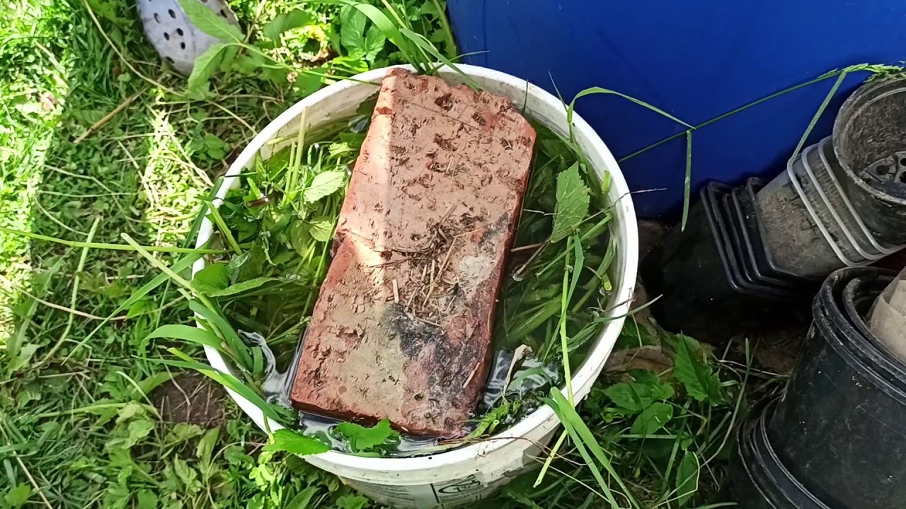 Permakultūras padomi - Zāles raudzējuma gatavošana un izmantošana