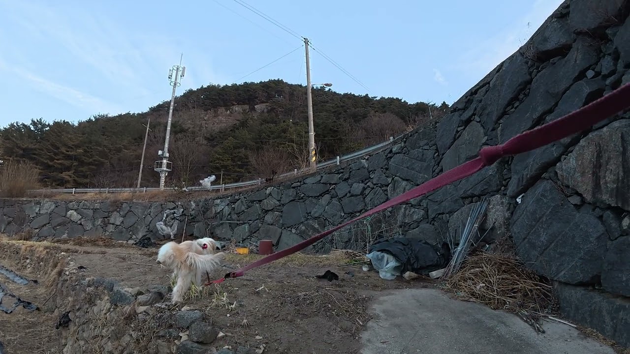 26 0204 마천 뚝방길