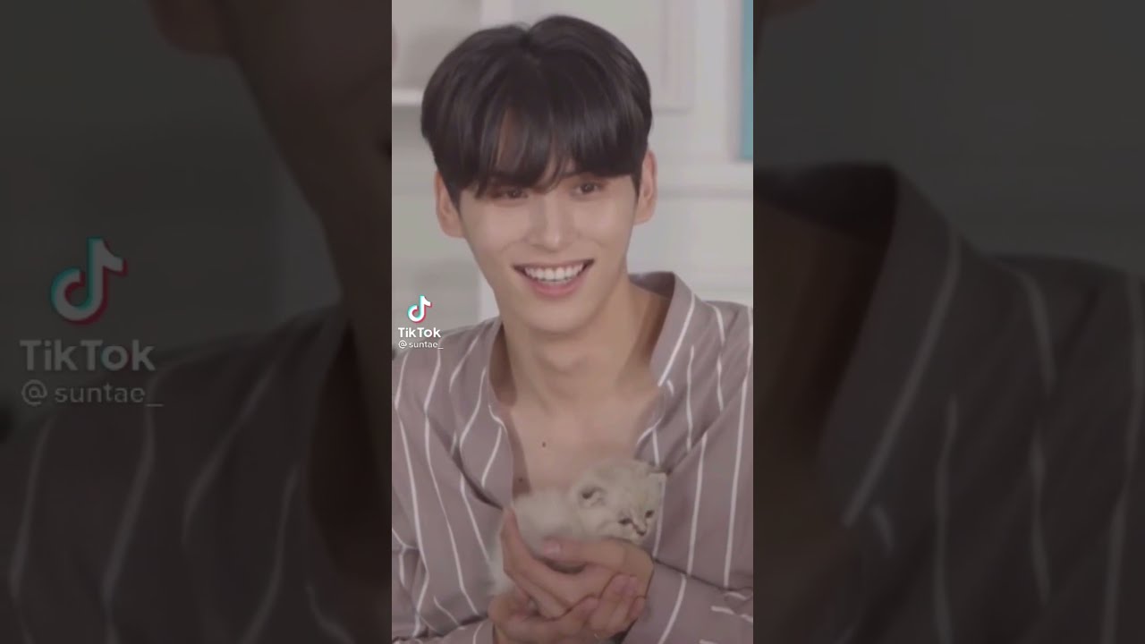 Kpop TikToks Because I Help Pay The Rent Of 94+ Men.