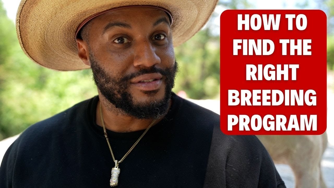 Finding The Right Breeding Program