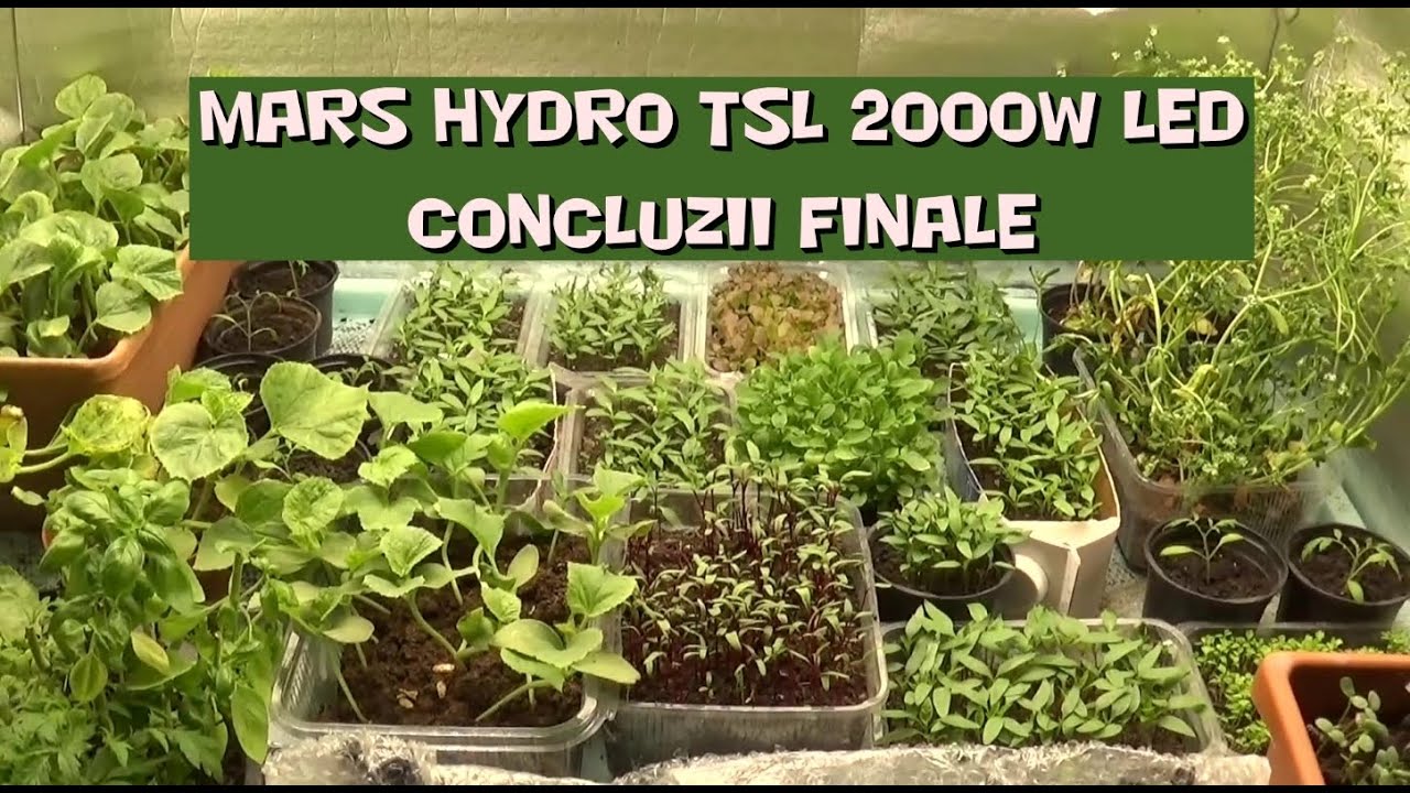 Mars Hydro TSL 2000W LED CONCLUZII FINALE