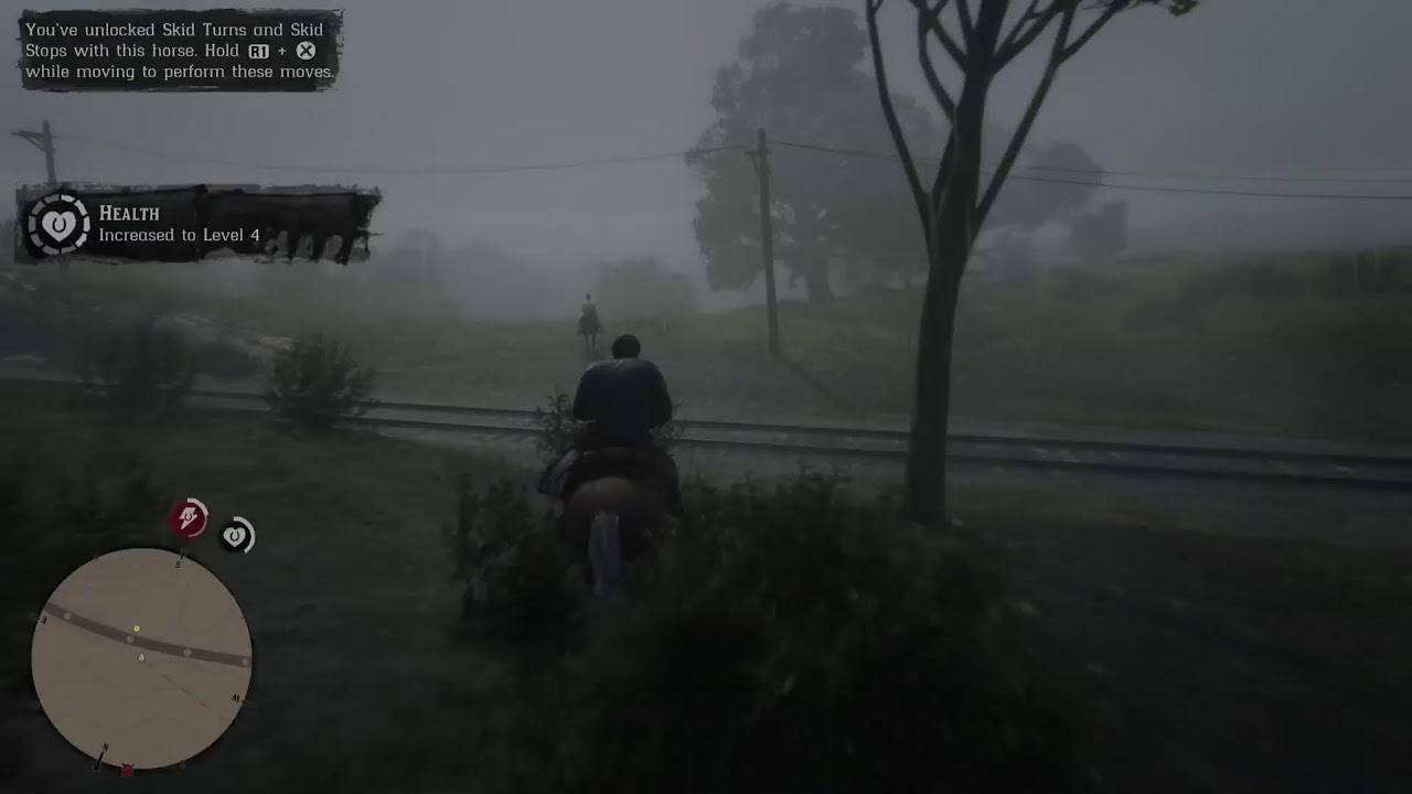 Red Dead Redemption 2 PS5